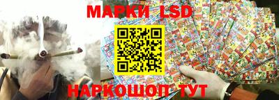 2c-b Камышлов