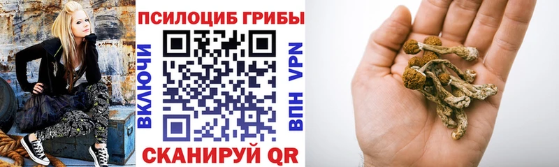 маркетплейс Telegram  Менделеевск  Псилоцибиновые грибы Psilocybine cubensis 