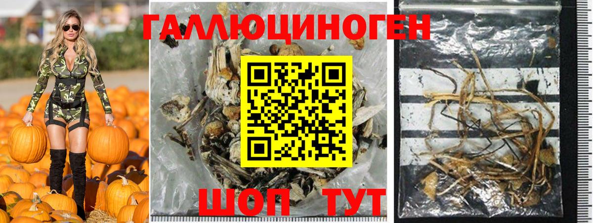 Псилоцибиновые грибы GOLDEN TEACHER  Менделеевск 