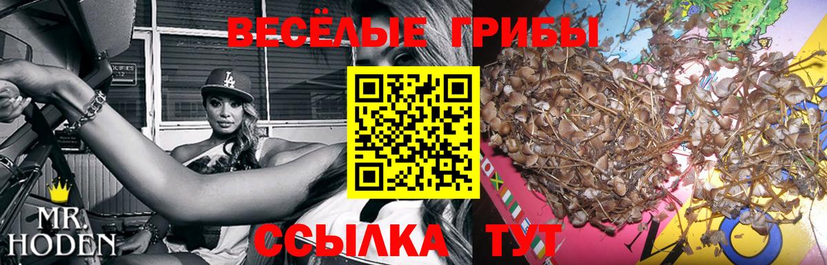 Галлюциногенные грибы мухоморы  Псилоцибиновые грибы Psilocybine cubensis  Вход с VPN  Менделеевск 
